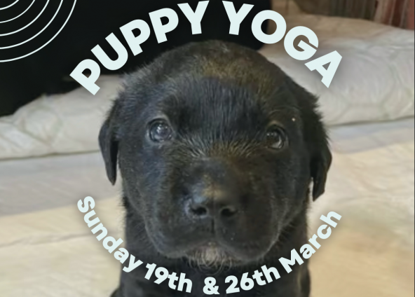 NEW DATES: PUPPY YOGA Sunday 19th & 26th March